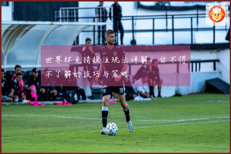 世界杯竞猜投注玩法详解，你不得不了解的技巧与策略