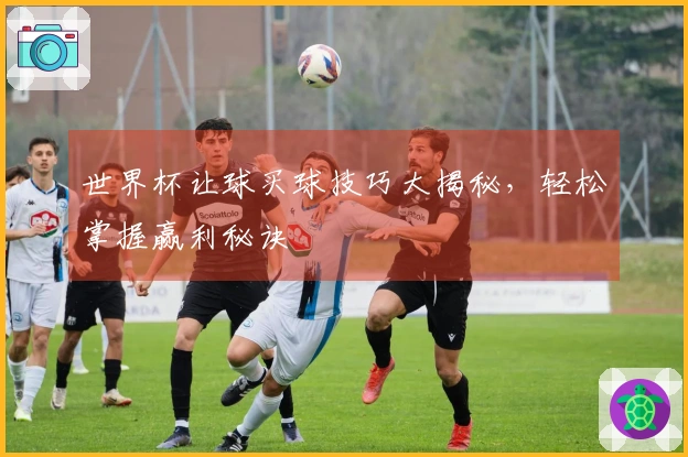 世界杯让球买球技巧大揭秘，轻松掌握赢利秘诀