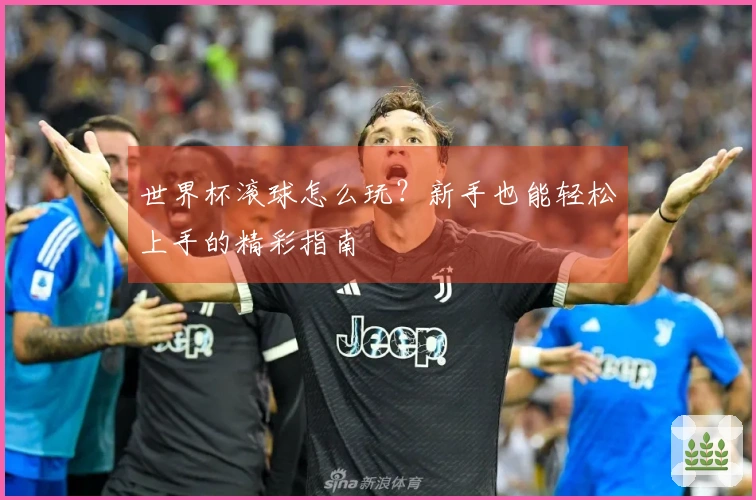 世界杯滚球怎么玩？新手也能轻松上手的精彩指南