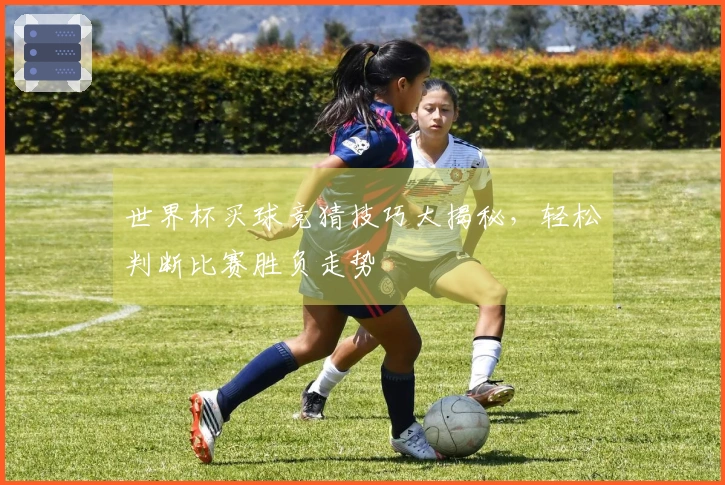 世界杯买球竞猜技巧大揭秘，轻松判断比赛胜负走势