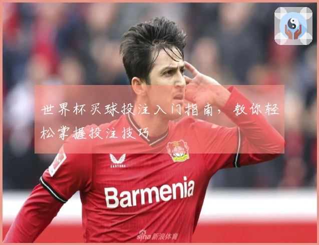 世界杯买球投注入门指南，教你轻松掌握投注技巧